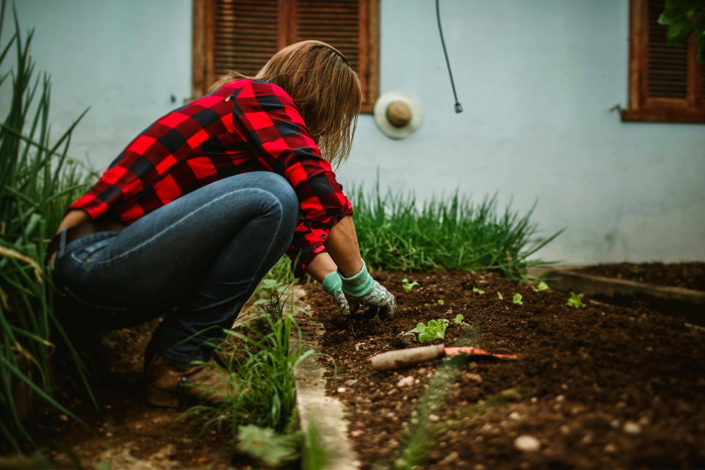 Eco friendly garden ideas for village homes using plants