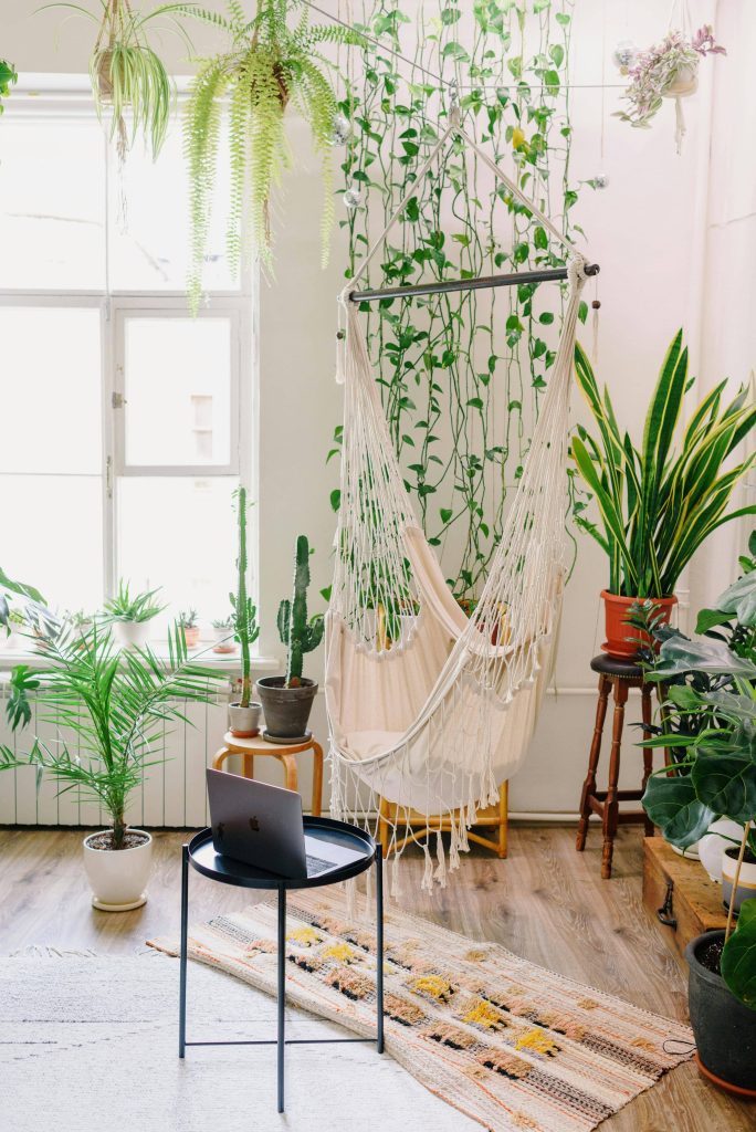 Indoor plants for small homes eco friendly home decor ideas