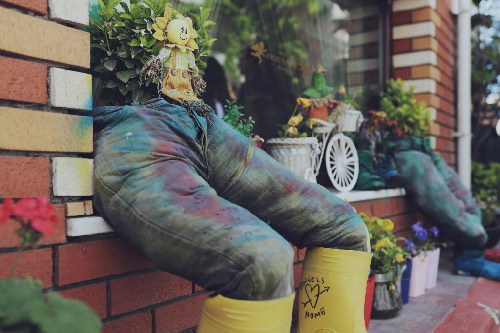 Recycled items used as plant decor eco friendly home decor ideas